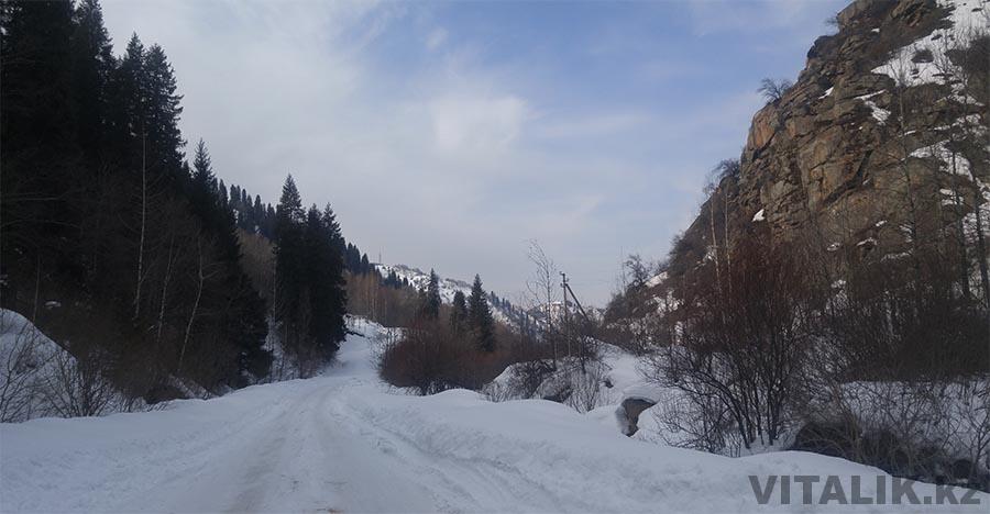 природа бутаковка