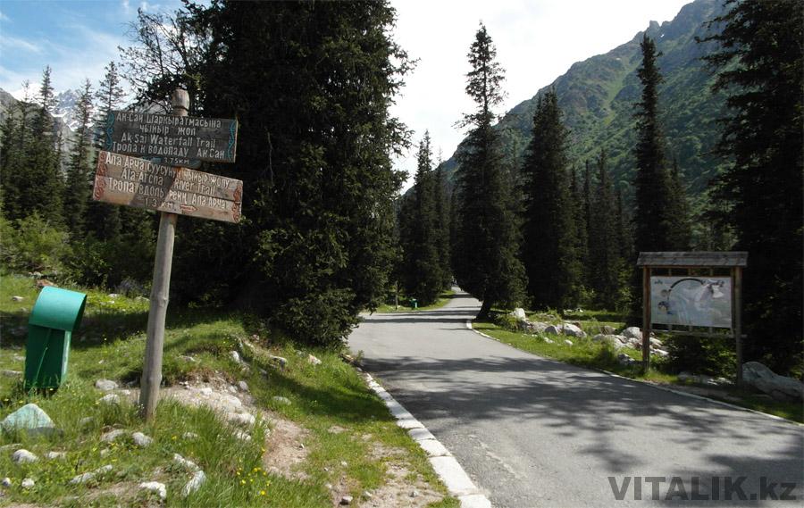 Ала арча по дороге