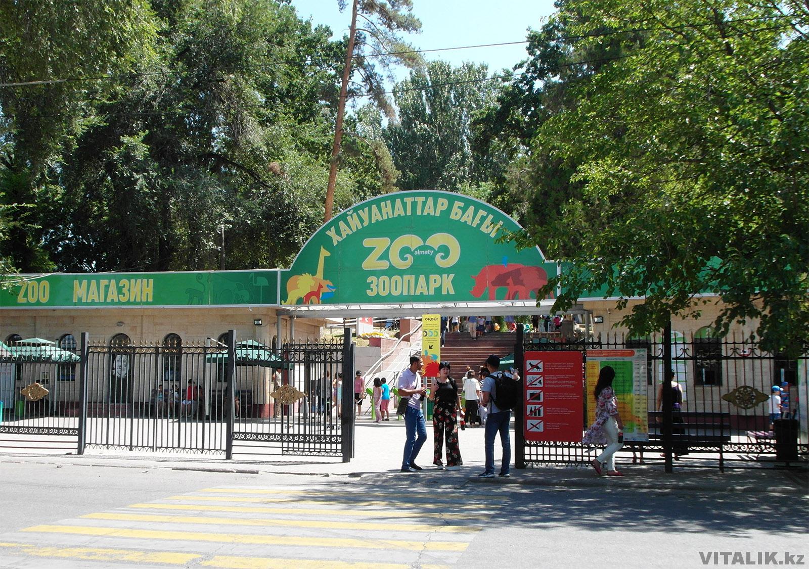 Зоопарк Алматы 2018